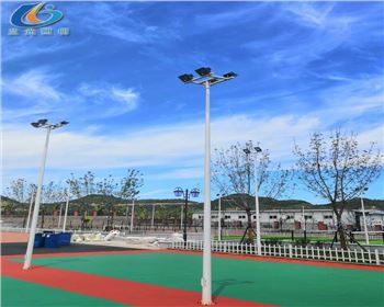 湖北延安學校路燈照明項目